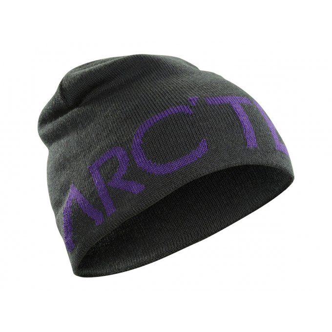 Arc\'teryx Arc\'teryx Word Head Toque Black Sapphire