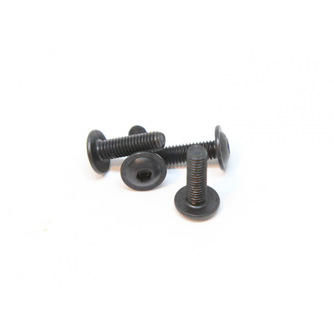 Set of screws for the AR15 pistol grip - 10mm