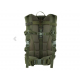 Bag Wisport® ZipperFox 25 - olive