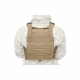 Warrior DCS Plate Carrier Base Only, Coyote, Size L