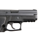 WE SIG F229 (P229) GBB