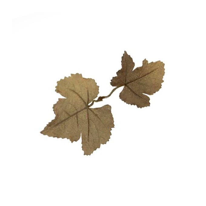 Leaf Camo – LC1 - Carob
