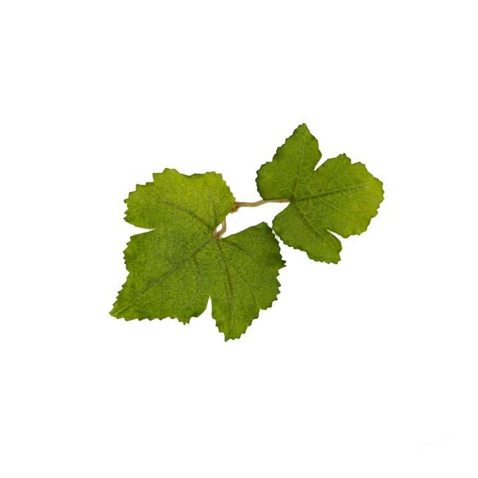 Leaf Camo – LC1 - Fern