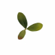 Novritsch LEAF CAMO 3D Leaves LC2, 40 Pcs – Emerald | ANAREUS