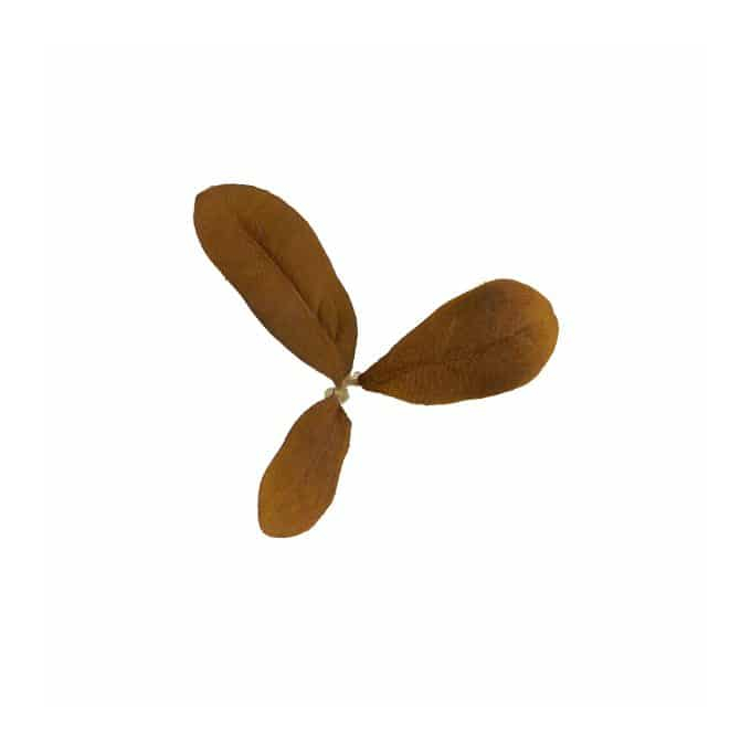 Novritsch LEAF CAMO 3D Leaves LC2, 50 pcs - Peat