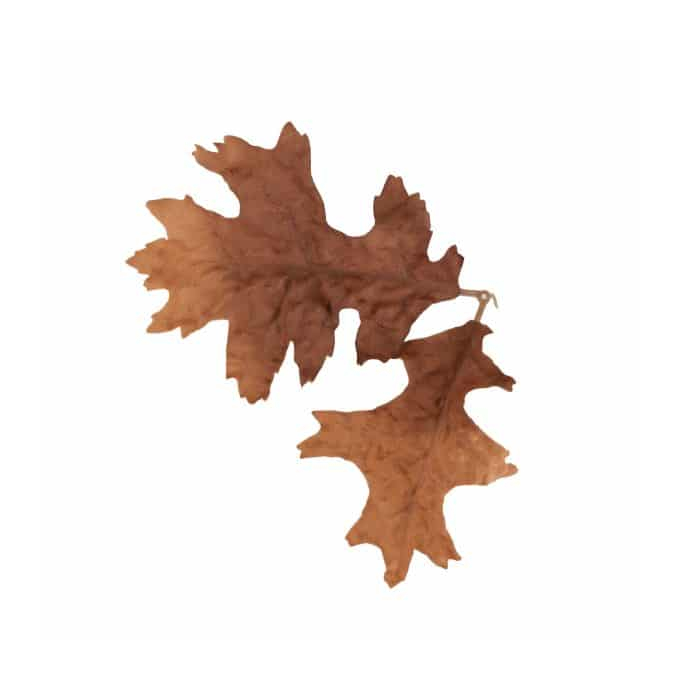 Novritsch LEAF CAMO 3D listy LC4, 50 ks - Bronze
