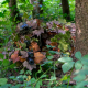 Novritsch ramenní převlečník 3D LEAF - Kreuzotter