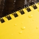 RITE voděodolný zápisník POCKET NOTEBOOK (76×133 mm) – Žlutá | ANAREUS