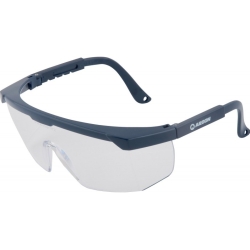 ARDON Safety Glasses V20 (Clear Lenses) | ANAREUS