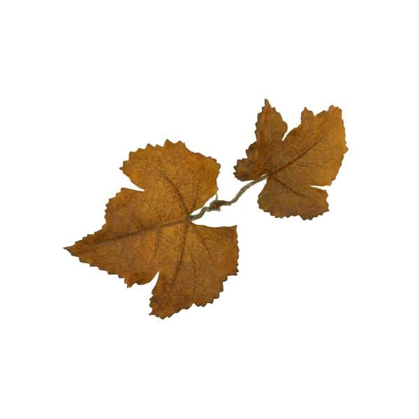Novritsch LEAF CAMO 3D listy LC1, 40 ks – Sienna