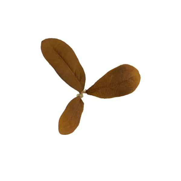Novritsch LEAF CAMO 3D listy LC2, 40 ks – Peat